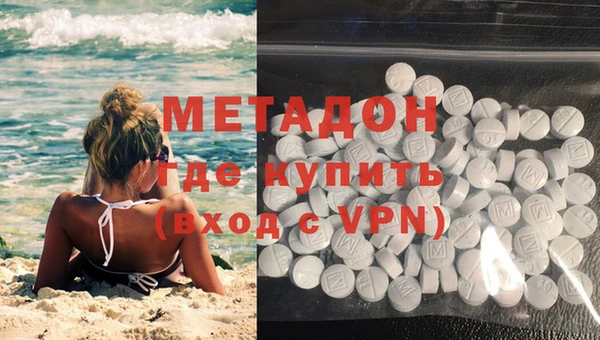 индика Алзамай