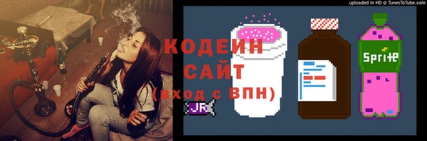 индика Алзамай