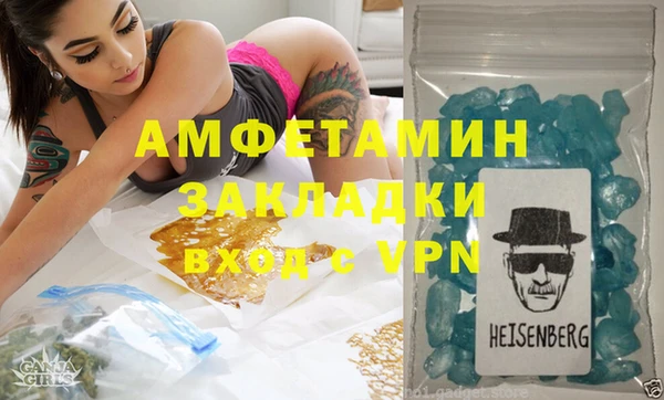 индика Алзамай