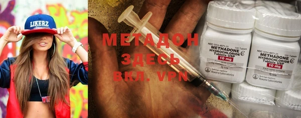 индика Алзамай