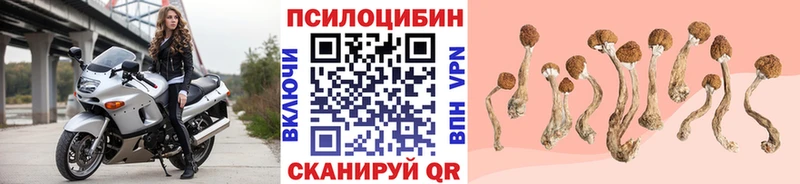 blacksprut как зайти  Евпатория  Псилоцибиновые грибы Cubensis 