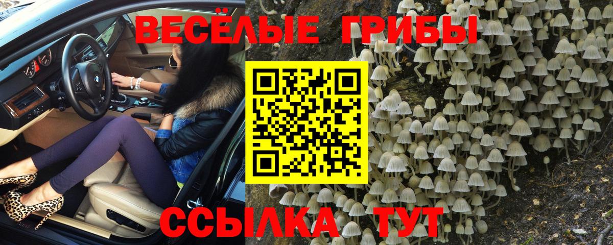 Псилоцибиновые грибы мицелий  Вход с VPN  Евпатория  купить наркотики цена  Галлюциногенные грибы Cubensis 